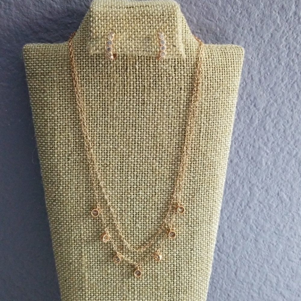 Choker Necklace &earring set